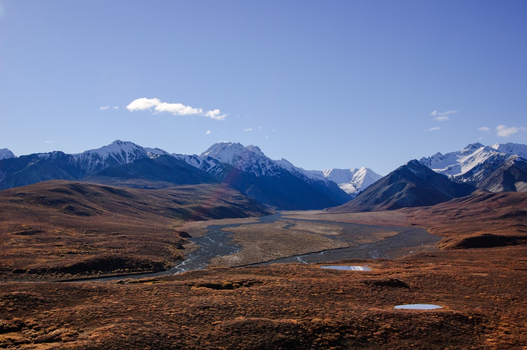 Entdecken Sie die wilde Schönheit des Denali Nationalparks | Secret World Trip Planner