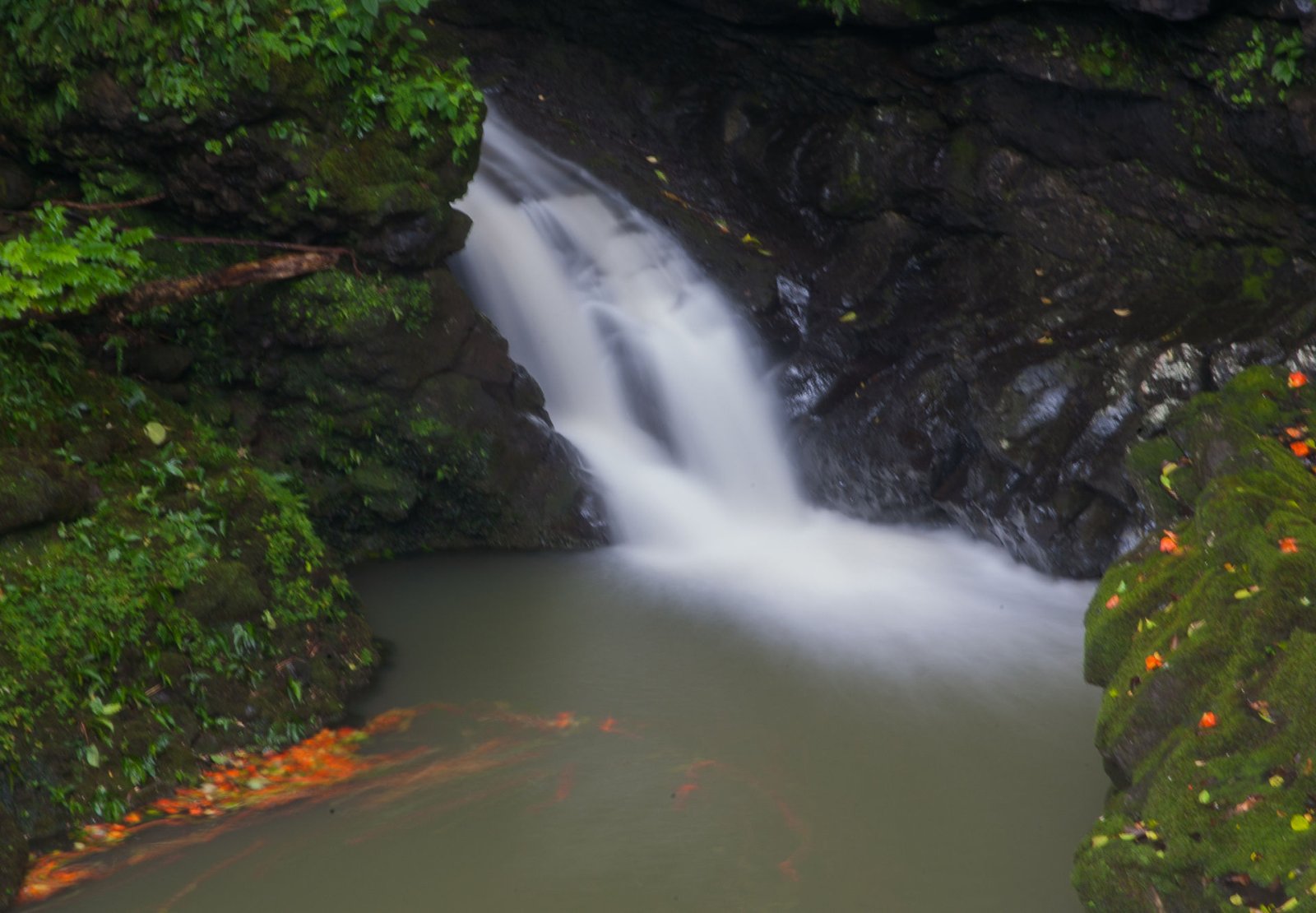 Scopri la Magia della Road to Hana: Esperienza Indimenticabile alle Hawaii | Secret World Trip Planner