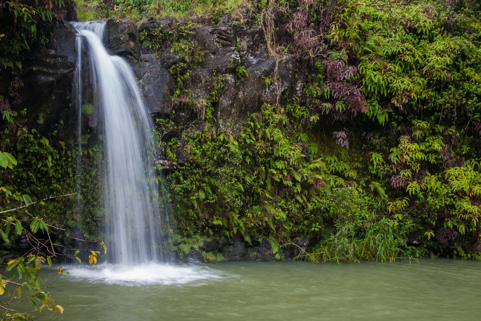 Entdecken Sie die Magie der Road to Hana: Unvergessliches Erlebnis auf Hawaii