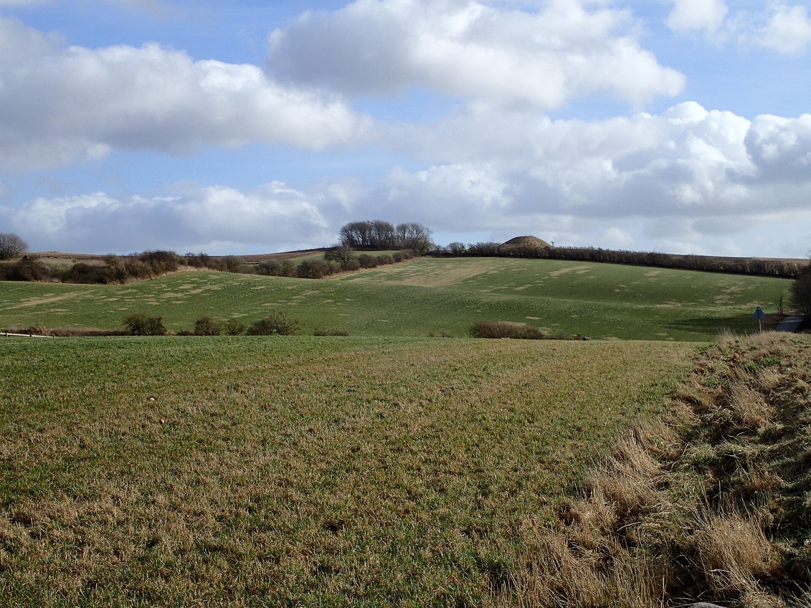 Scopri Jelshøj: Un tesoro archeologico in Danimarca - Jelshøjvej 50 | Secret World Trip Planner