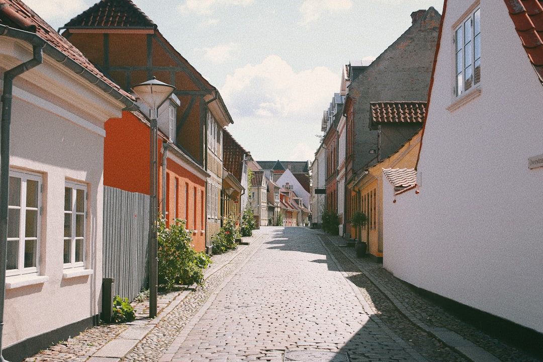 Discover Stabelhøje: The Bronze Age Tumuli in Denmark - Dybdalvej 9 | Secret World Trip Planner