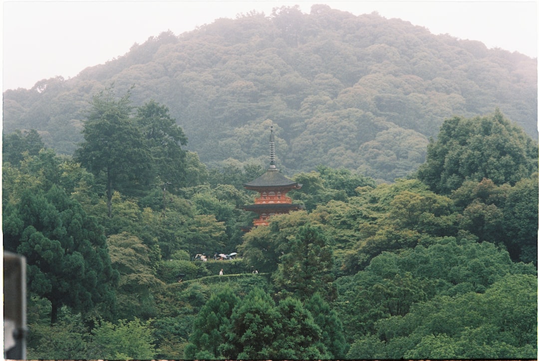 Karesansui : La Magie des Jardins Zen de Kyoto - Kyoto | Secret World Trip Planner