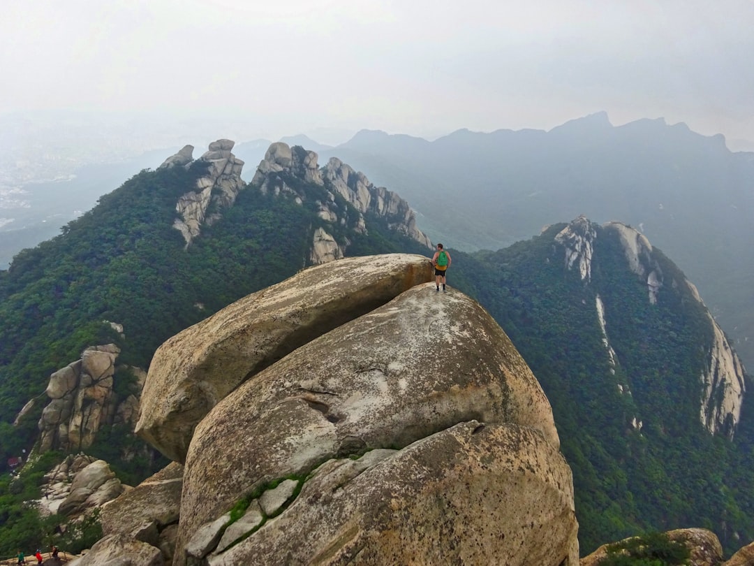 Wanderlog Review 2026: The Truth About Secret World in Seoul - Seoul | Secret World Trip Planner
