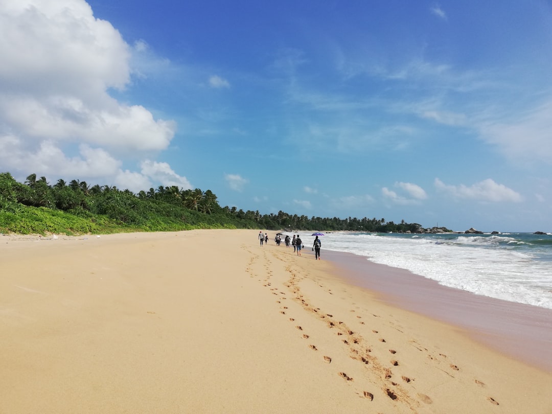 Turtle Beach : Un Paradis Caché au Sri Lanka - Hikkaduwa | Secret World Trip Planner