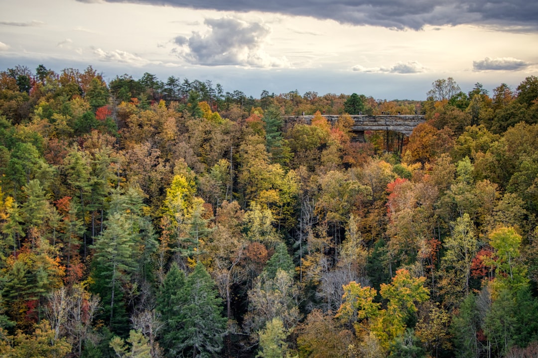 Entdecke den Red River Gorge: Ein Naturparadies in Kentucky | Secret World Trip Planner