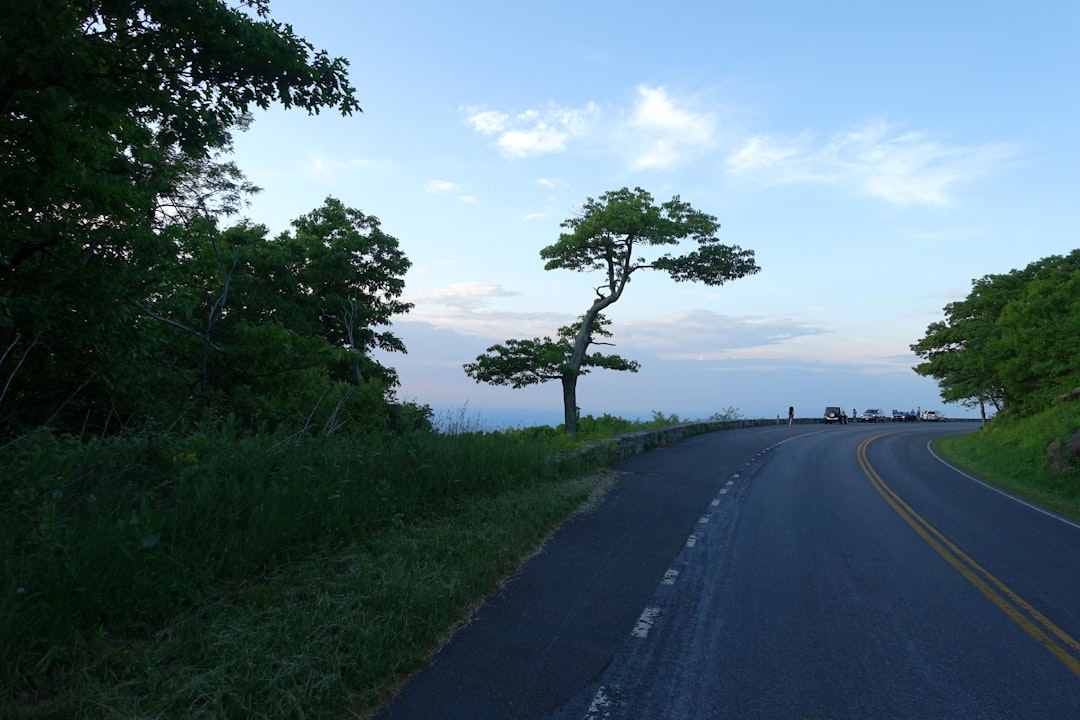 Scopri la bellezza del Shenandoah National Park in Virginia | Secret World Trip Planner