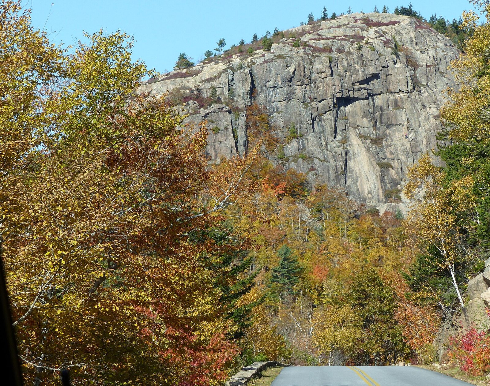 Scopri la bellezza naturale del Parco Nazionale di Acadia