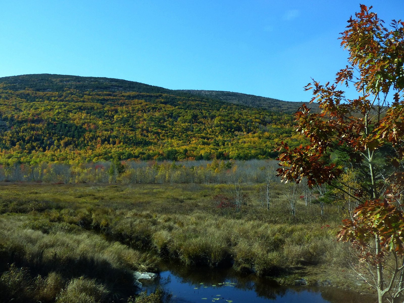 Scopri la bellezza naturale del Parco Nazionale di Acadia | Secret World Trip Planner