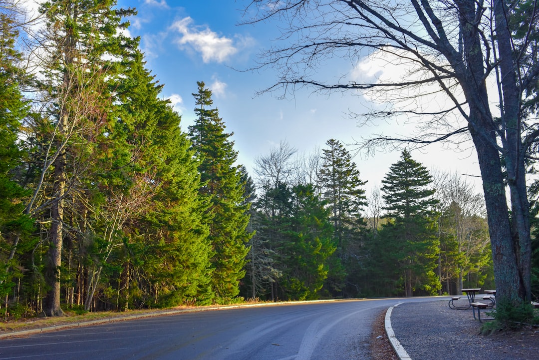 Discover the Natural Beauty of Acadia National Park | Secret World Trip Planner