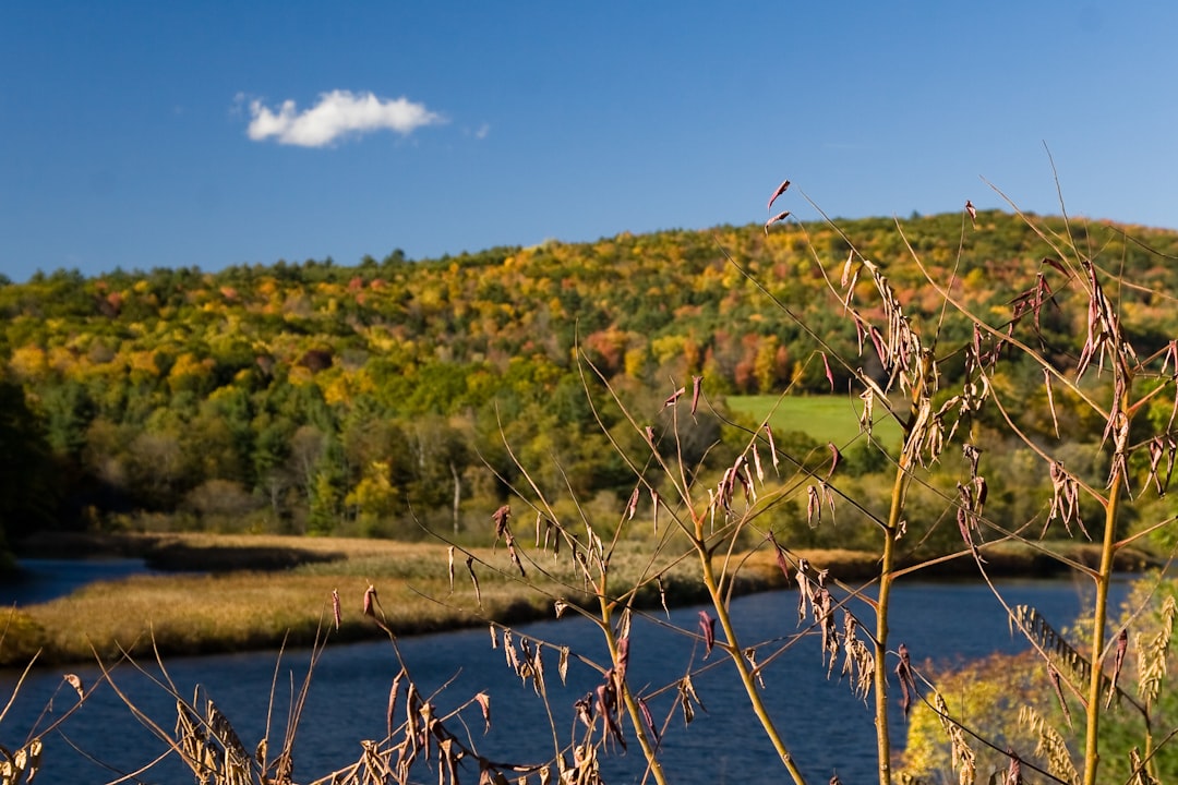 Scopri il Finger Lakes Wine Trail a Watkins Glen, New York | Secret World Trip Planner