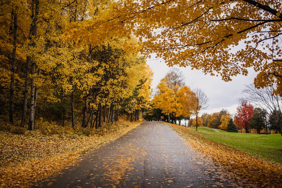 Scopri Door County: Un Angolo Incantato del Wisconsin