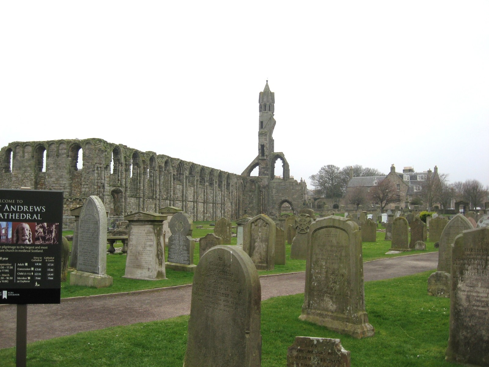Découvrez la cathédrale de St Andrews : un trésor culturel d'Écosse | Secret World Trip Planner