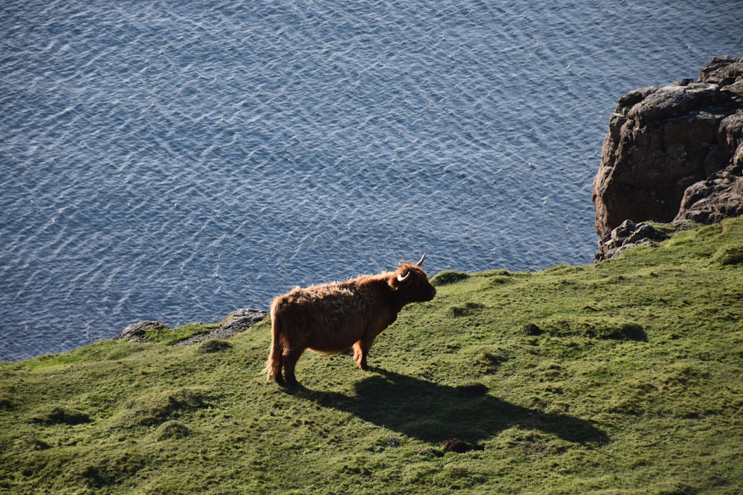 Isle of Mull: A Natural Paradise in Western Scotland | Secret World Trip Planner