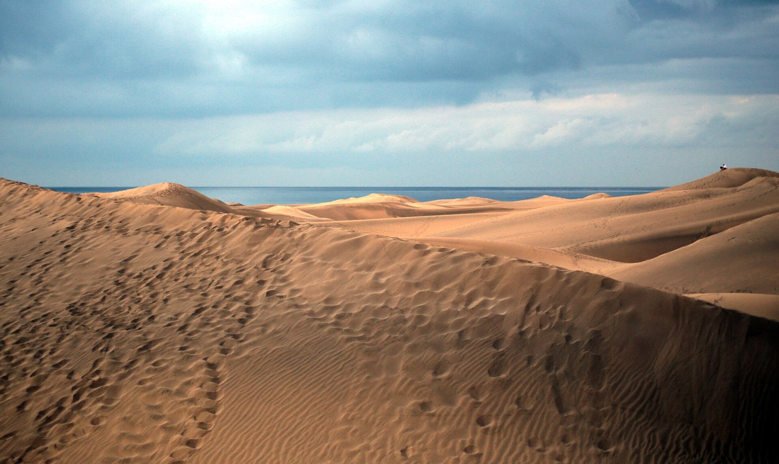 Maspalomas Dünen: Ein Naturparadies auf den Kanaren