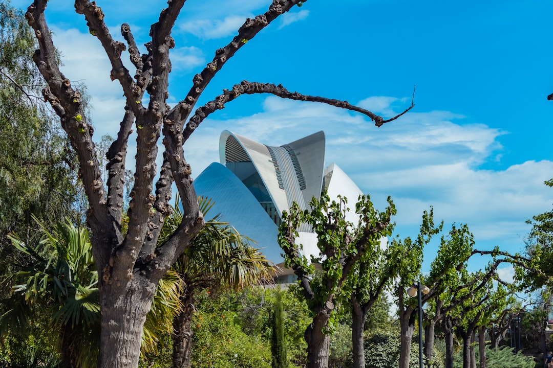 Entdecken Sie die Stadt der Künste und Wissenschaften in Valencia | Secret World Trip Planner