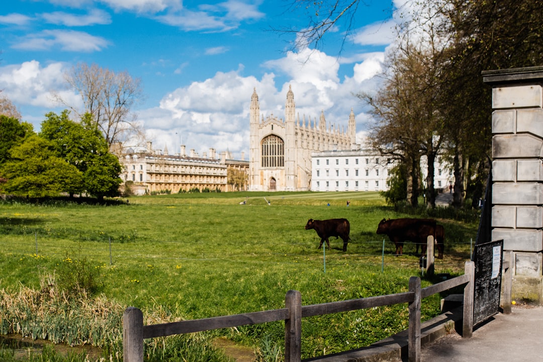 Découvrez Cambridge Backs : un coin de nature et de culture - 6427+XV Cambridge | Secret World Trip Planner