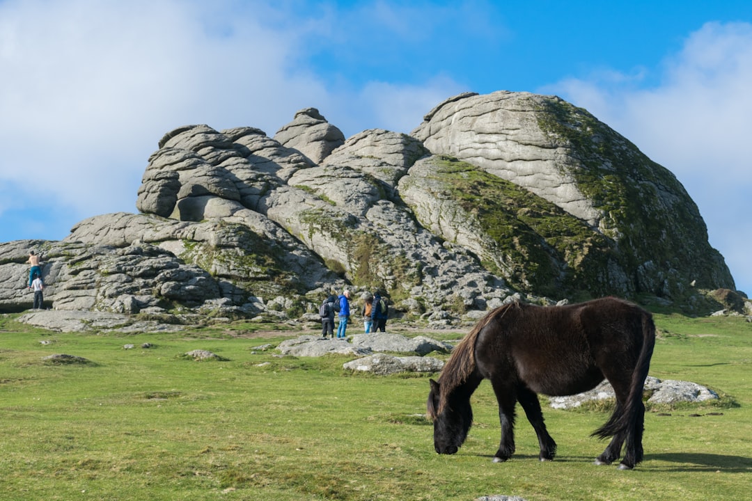 Entdecken Sie den Charme des Dartmoor Nationalparks in England - HX28+2M Lens | Secret World Trip Planner