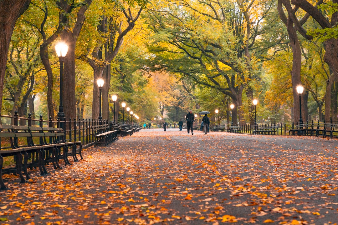 中央公园的克里斯托与让-克劳德之门 - New York | Secret World Trip Planner