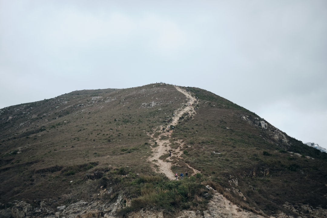 Il Sentiero del Gigante: Arte e Natura in Armonia - 44 Causeway Rd | Secret World Trip Planner