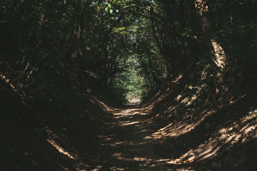 The Giant's Path: Art and Nature in Harmony - 44 Causeway Rd | Secret World Trip Planner