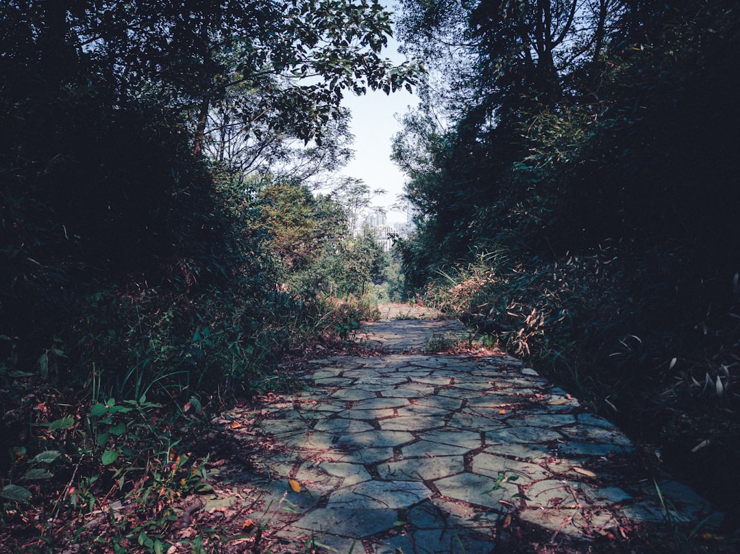 Le Sentier des Géants : Art et Nature en Harmonie - 44 Causeway Rd | Secret World Trip Planner
