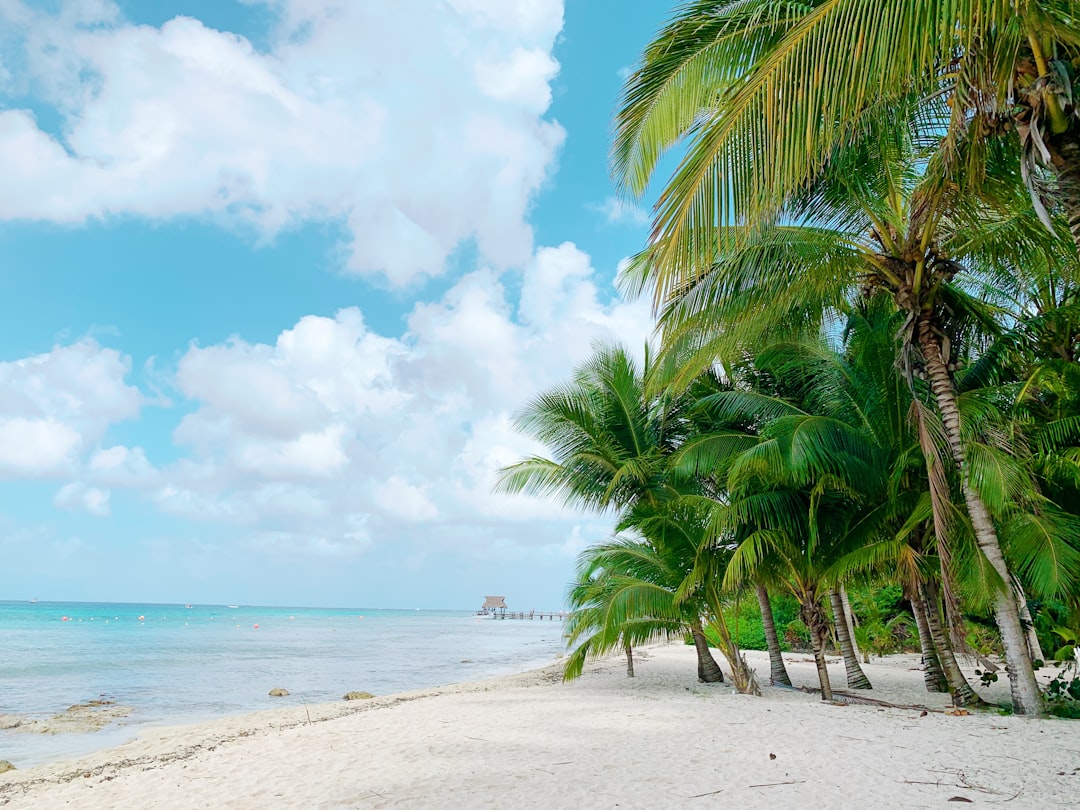 Cozumel : Un Paradis Caché au Cœur des Caraïbes — Cozumel