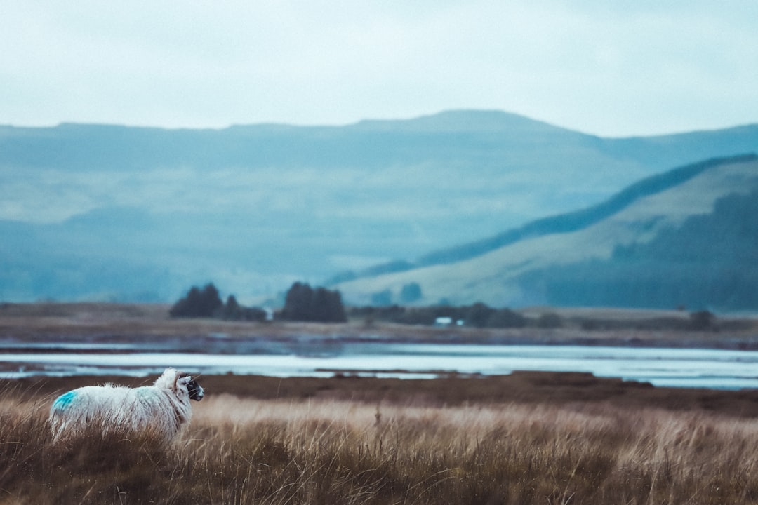 Mull: Die wilde Insel Schottlands - Mull | Secret World Trip Planner