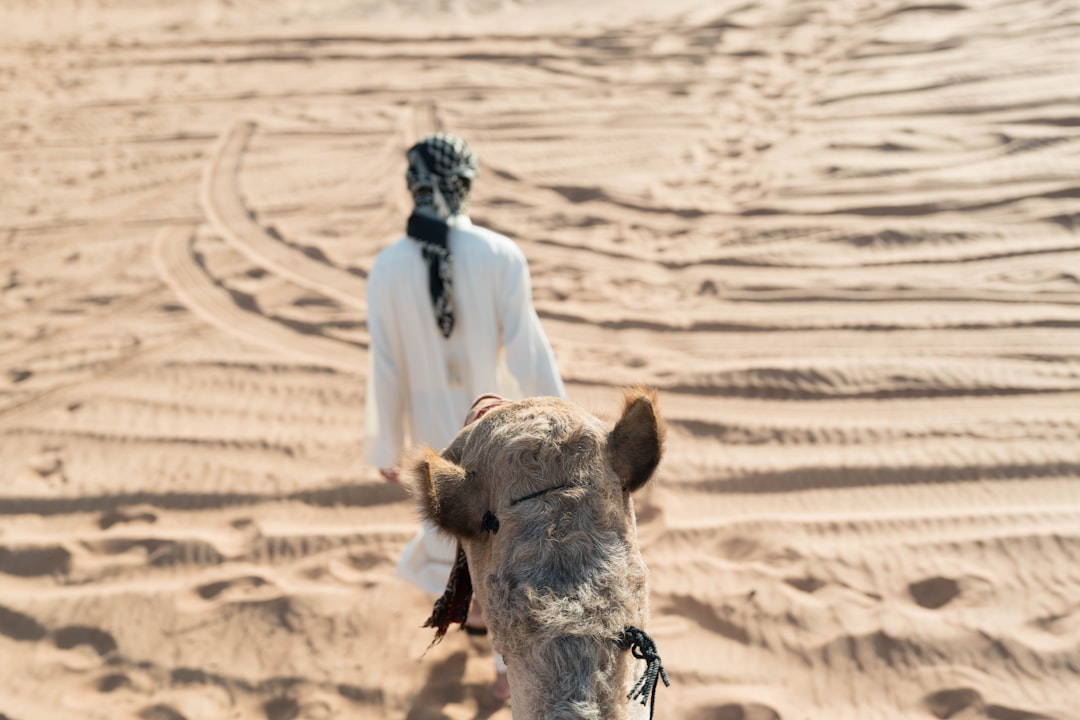 Weekend in Dubai: The Perfect Itinerary with Secret World - Dubai | Secret World Trip Planner