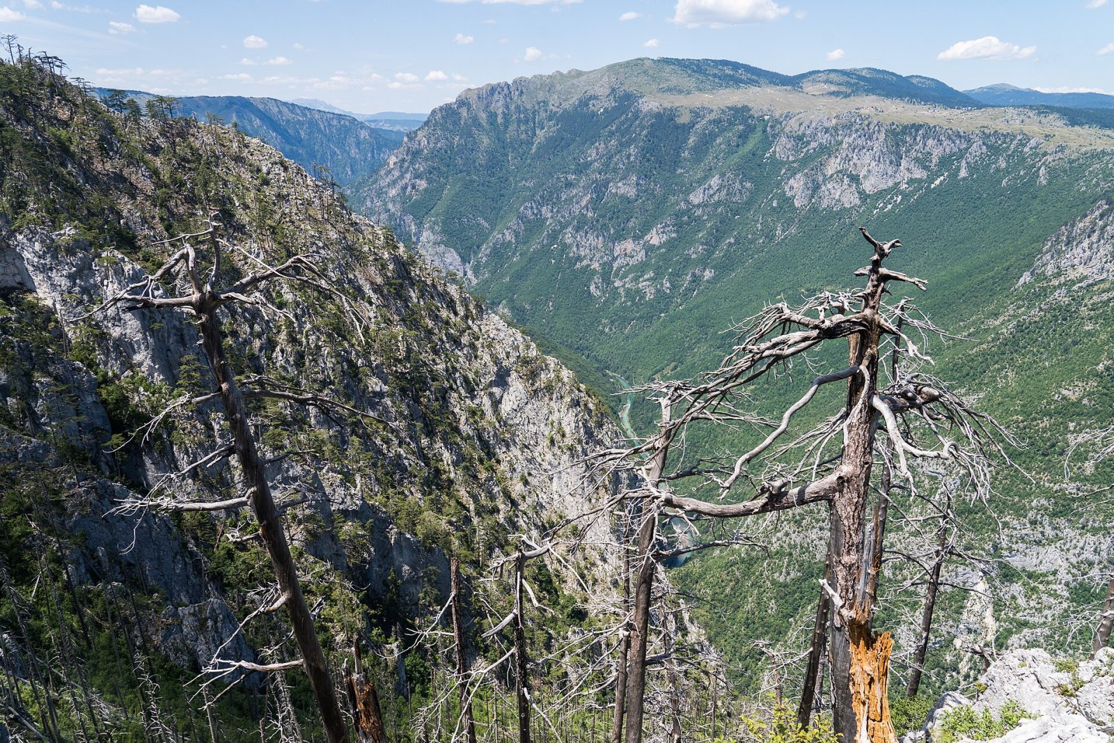 Discover the Charm of Tara Canyon in Montenegro - Tepca | Secret World Trip Planner
