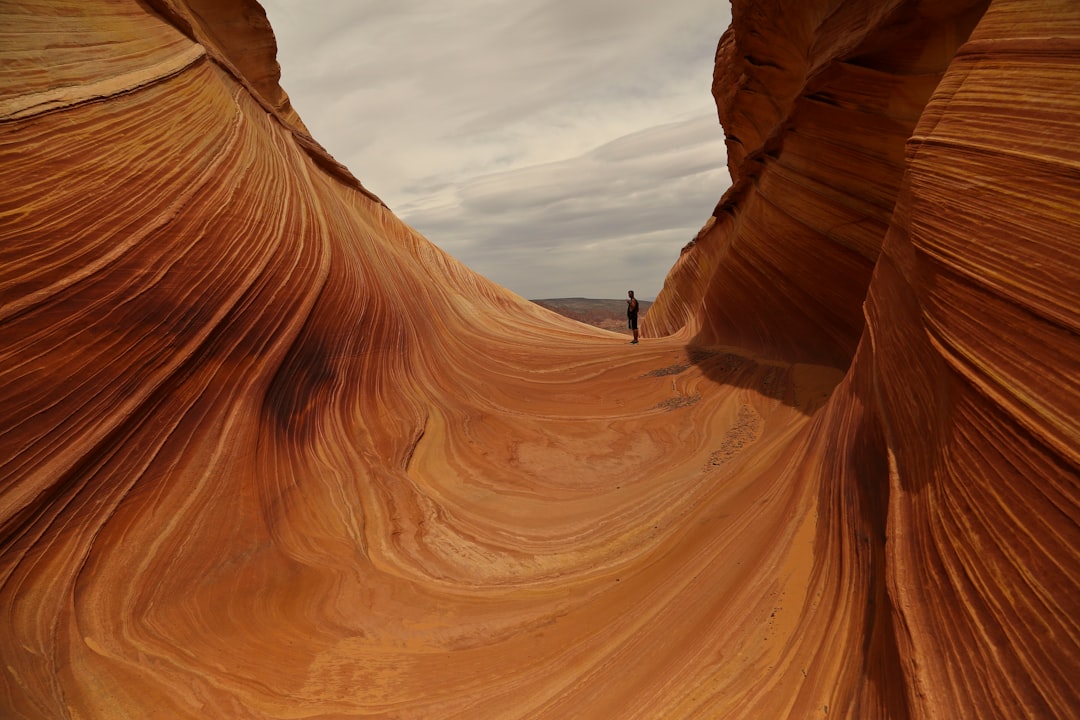 The Wave: Un Capolavoro Naturale a Kanab - Kanab | Secret World Trip Planner