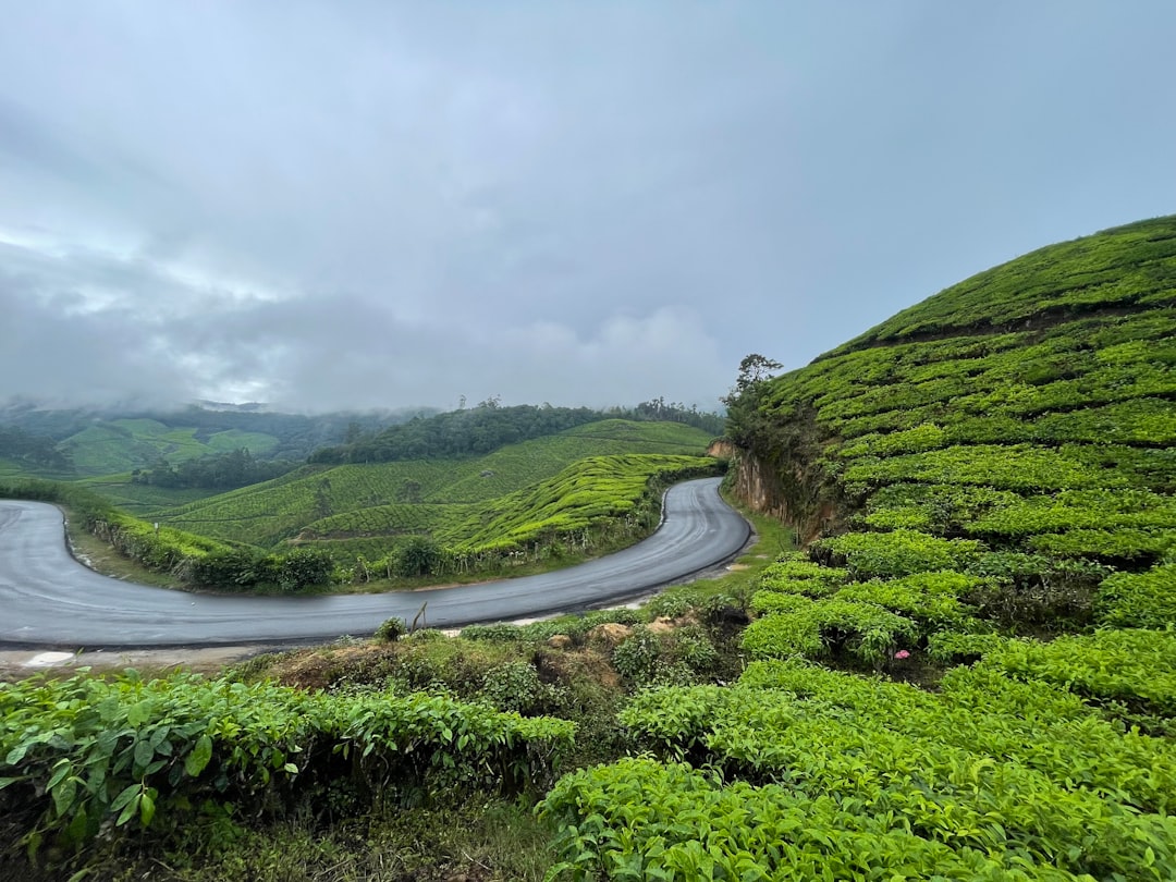 Munnar : Un Paradis au Coeur des Plantations de Thé - Munnar | Secret World Trip Planner