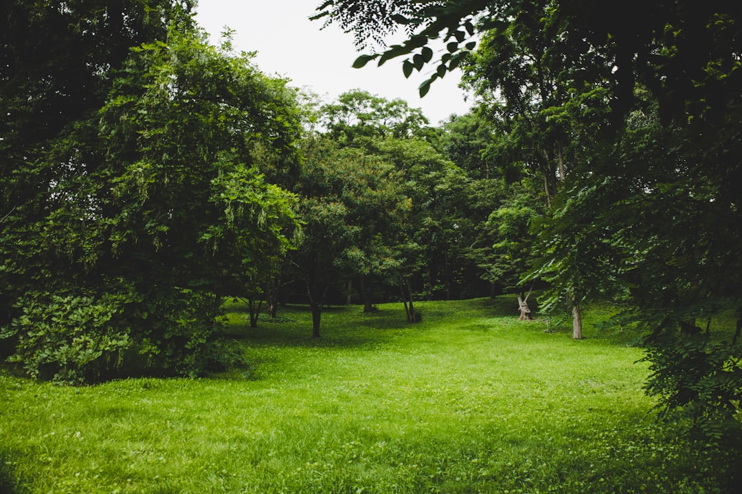 Entdecke den Parco Giardino Sigurtà: Ein Grünes Paradies - 1 | Secret World Trip Planner