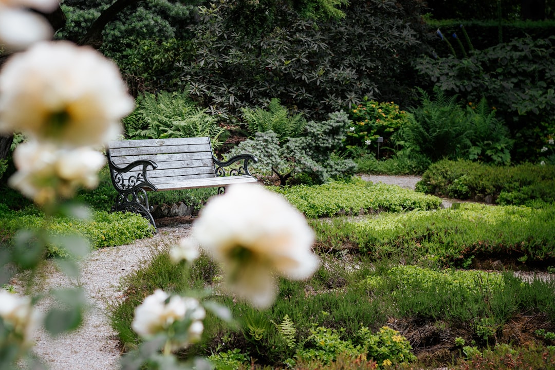 Découvrez le Parc Jardin Sigurtà : un Paradis Vert - 1 | Secret World Trip Planner