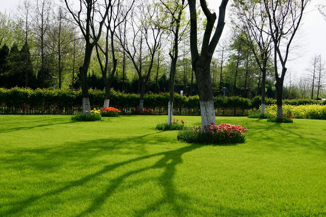 Découvrez le Parc Jardin Sigurtà : un Paradis Vert - 1 | Secret World Trip Planner