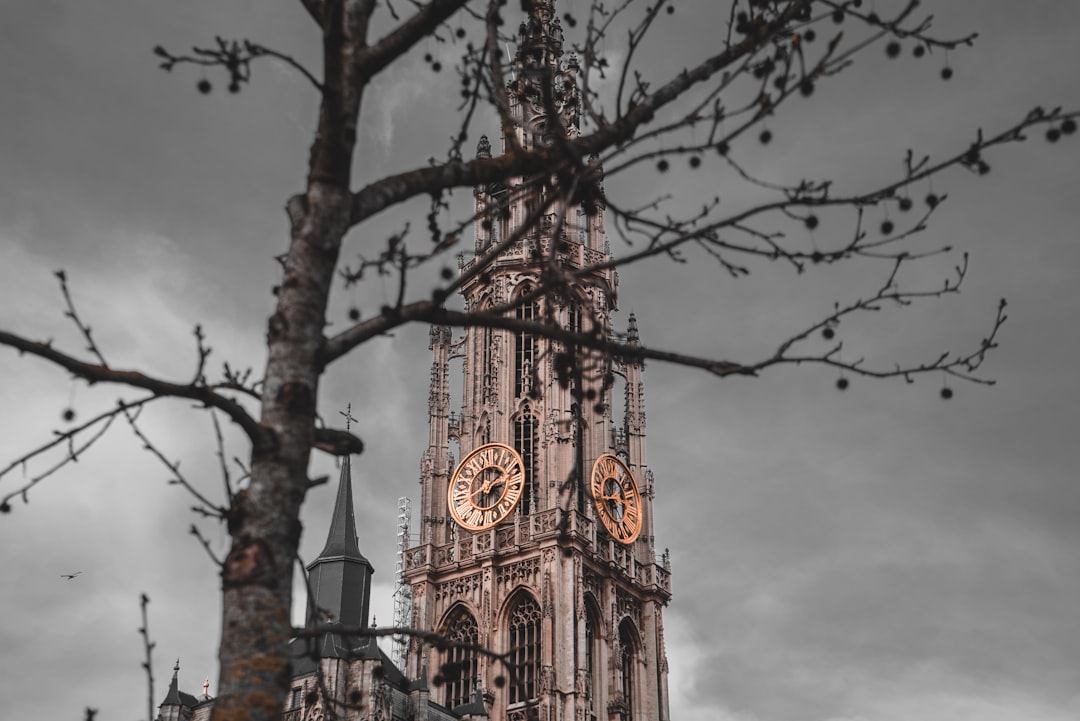 Découvrez la Cathédrale d'Anvers : un trésor de culture et d'histoire — Grote Markt 58