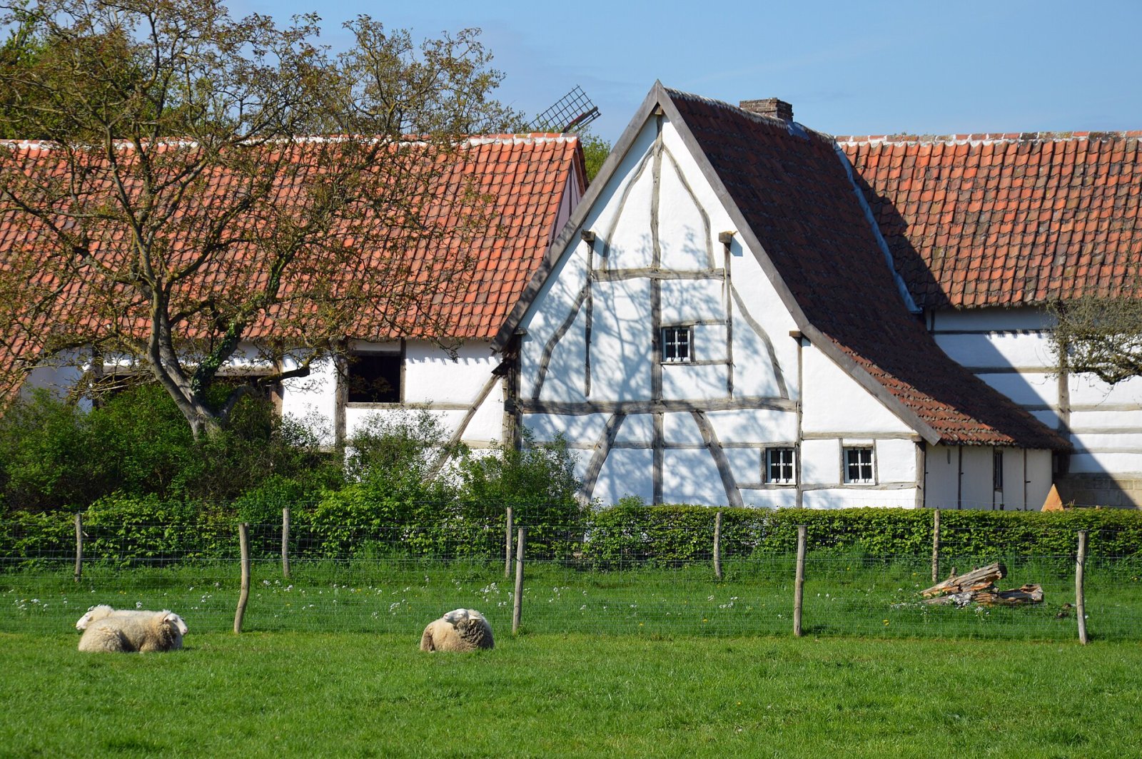 Découvrez le Bokrijk Open Air Museum à Genk : un voyage dans le passé - Heiblok 11 | Secret World Trip Planner