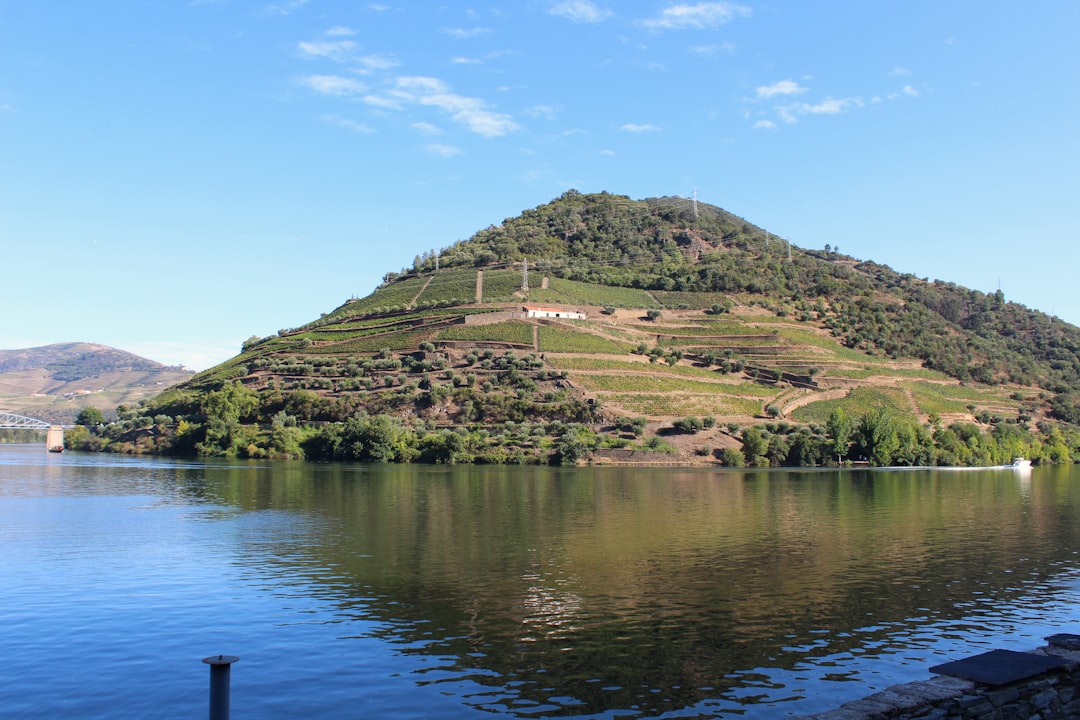 Discover the Magic of the Douro Valley Wine Region in Pinhão | Secret World Trip Planner