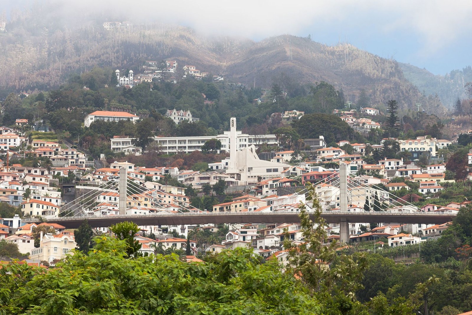 Entdecken Sie die Levadas von Madeira: Eine Reise zwischen Natur und Kultur | Secret World Trip Planner