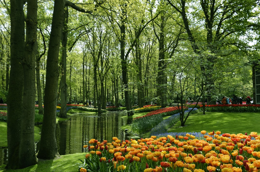 Scopri la Magia dei Giardini di Keukenhof a Lisse - Lisse | Secret World Trip Planner
