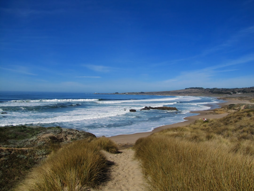 Le Phare de Pigeon Point : Un Monument Historique en Californie - Pescadero | Secret World Trip Planner