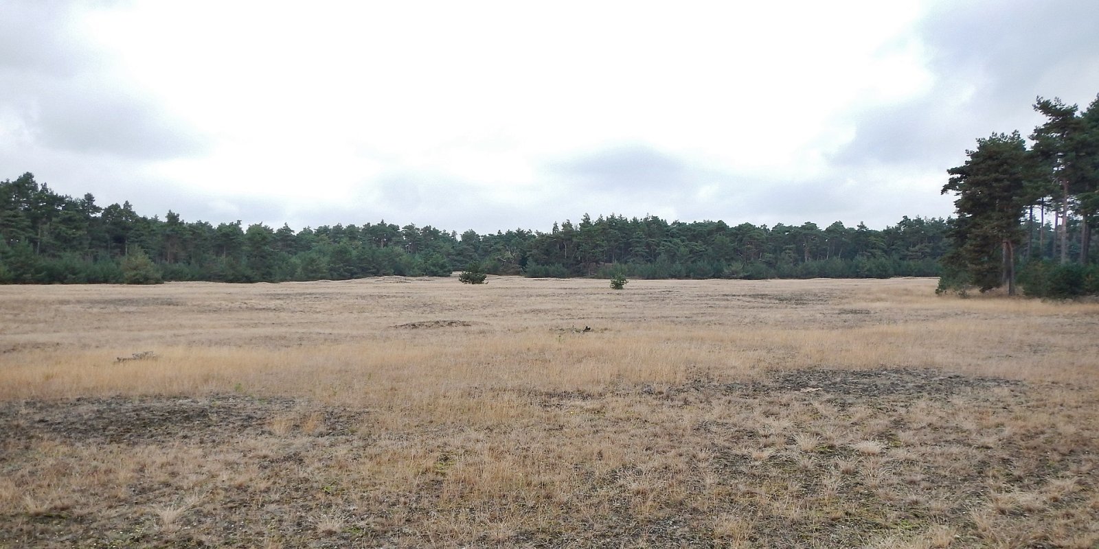 Scopri la bellezza del Parco Nazionale Hoge Veluwe - Otterlo | Secret World Trip Planner