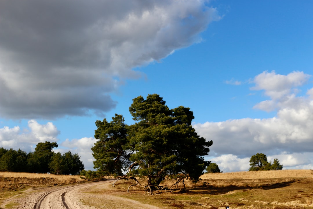 Discover the Beauty of Hoge Veluwe National Park - Otterlo | Secret World Trip Planner