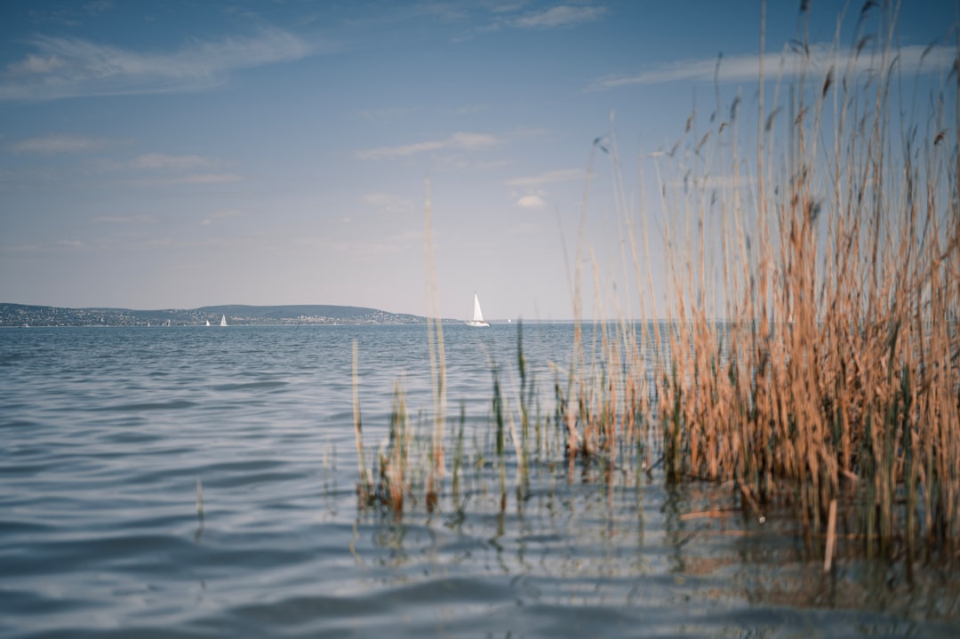 Entdecken Sie den Balatonsee: Ein Naturparadies in Ungarn - Balatonfüred | Secret World Trip Planner