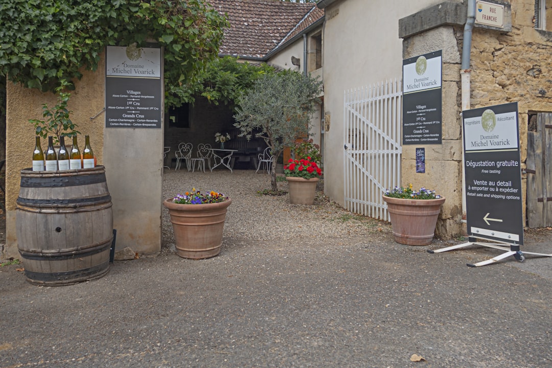 Entdecken Sie die Côte-d'Or: Die Magie der Burgunderweine - Côte-d'Or | Secret World Trip Planner