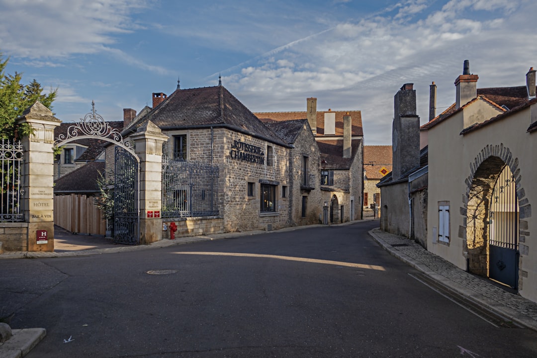 Découvrir la Côte-d'Or : La Magie des Vins de Bourgogne - Côte-d'Or | Secret World Trip Planner