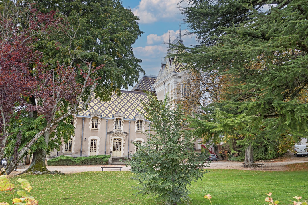 Découvrir la Côte-d'Or : La Magie des Vins de Bourgogne - Côte-d'Or | Secret World Trip Planner