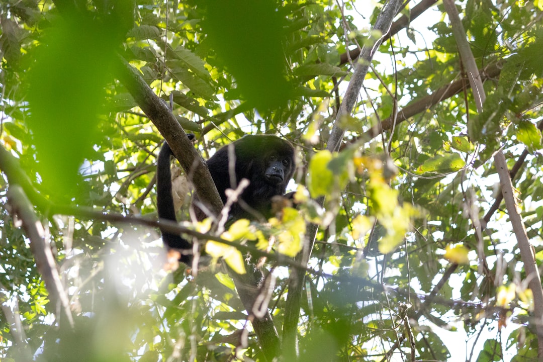 Ometepe : Un Paradis Naturel au Cœur du Nicaragua - Ometepe | Secret World Trip Planner