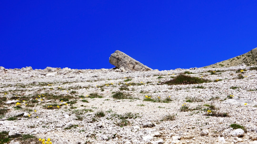 Observatoire de Cerro Tololo : Un Paradis pour Astronomes — Vicuña