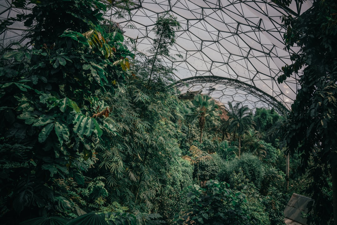 Découvrez le Projet Eden : un voyage entre nature et culture en Angleterre - 9P5V+VV Mettet | Secret World Trip Planner