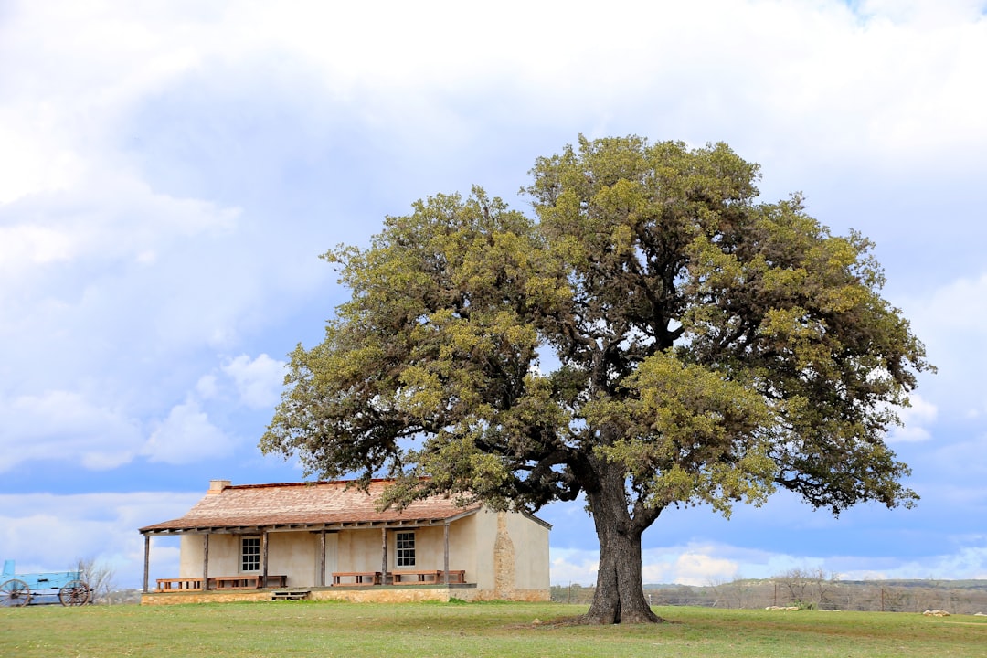 Entdecken Sie das Texas Hill Country: Eine Reise nach Fredericksburg - Chamdo | Secret World Trip Planner